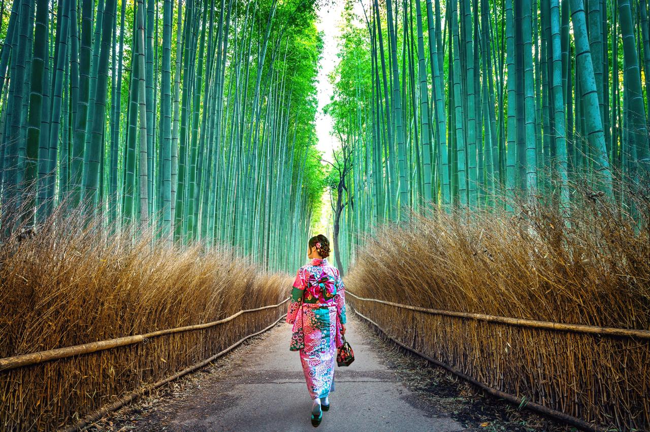Entre Tokio y Kioto: atrapados por las bellezas de Japón