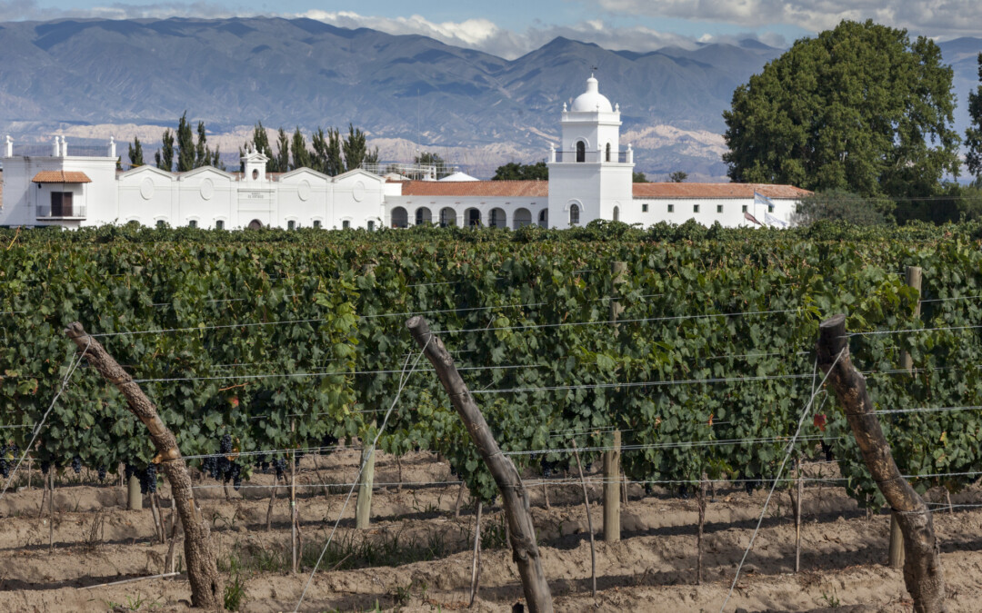 Destinos de pura cepa:  el vino como circuito turístico en Argentina