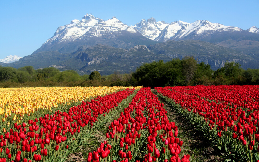 El milagro de la primavera