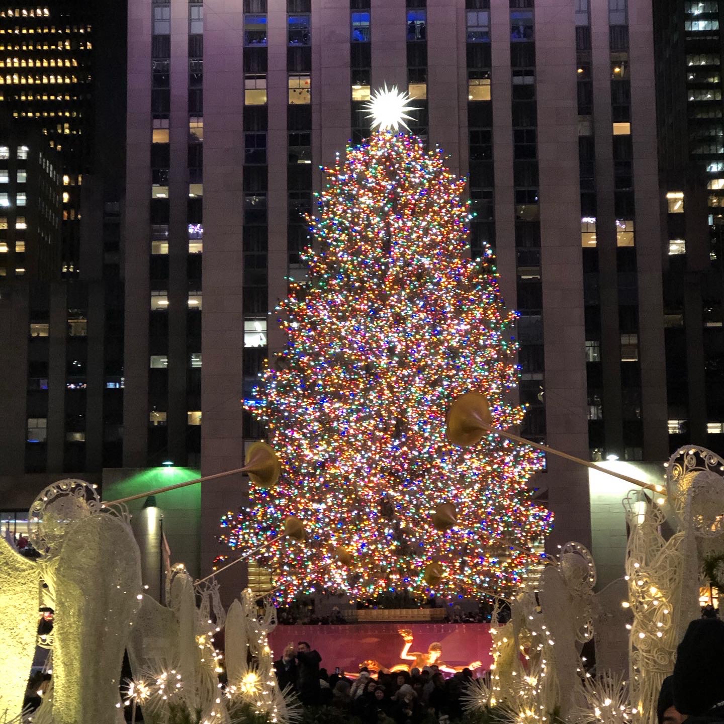 En el Rockefeller Center, NY, se encuentra uno de los árboles más icónicos del mundo 