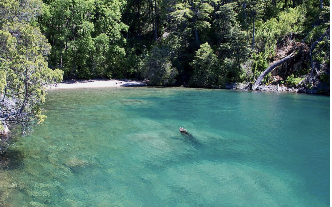 La increíble “playa turquesa” argentina que enamora a los turistas