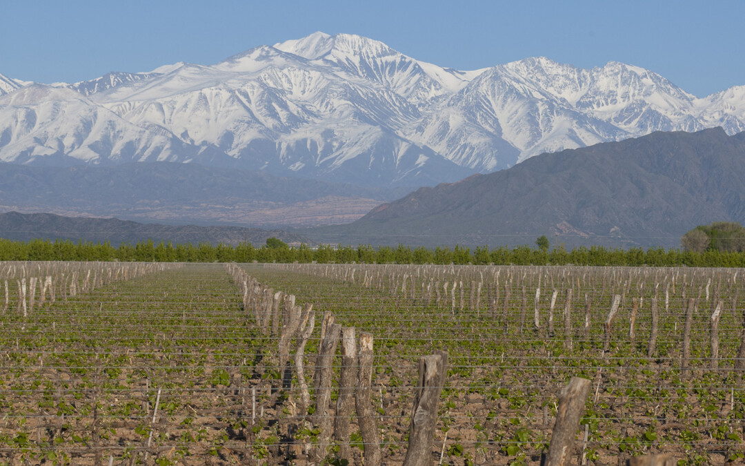 Mendoza, elegida como uno de los principales destinos turísticos para conocer en 2021