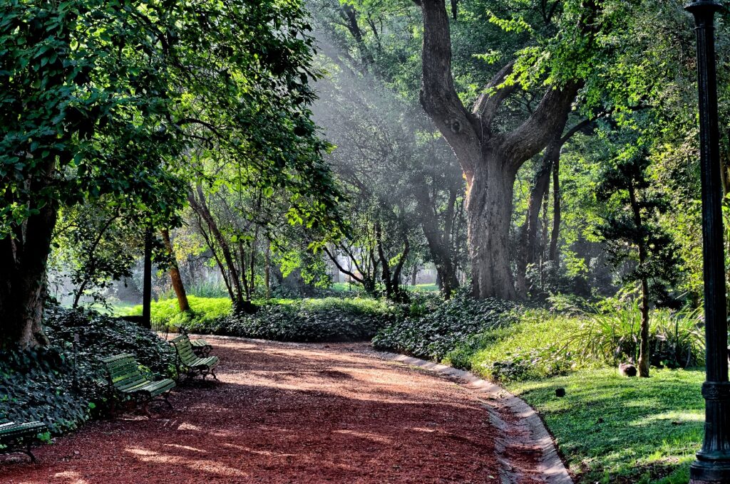 Una propuesta turística verde en el medio de la Ciudad de Buenos Aires