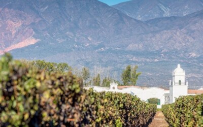 Cinco caminos del vino en Argentina