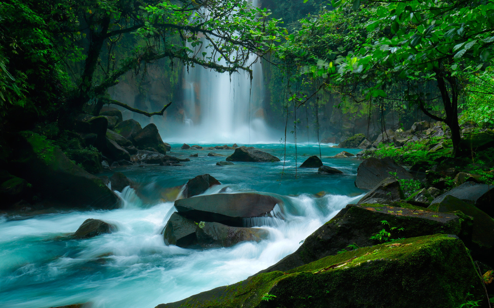 Además de Argentina, Costa Rica fue distinguida por su biodiversidad. 