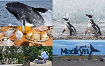 Guía de 3 días en Puerto Madryn