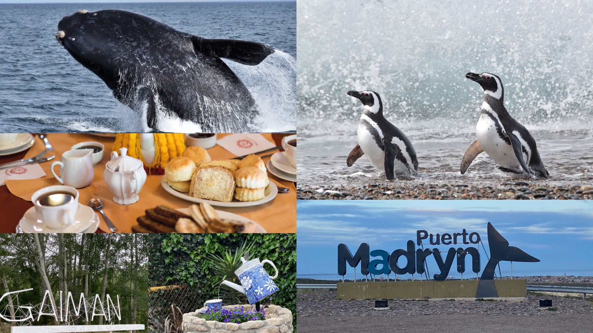 Guía de 3 días en Puerto Madryn