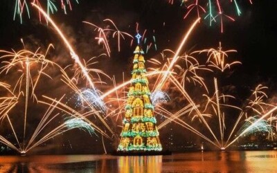 Descubrí los árboles de Navidad más icónicos del mundo