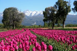 Primavera en Argentina