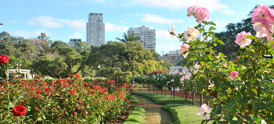 5 destinos turísticos que florecen en la primavera en Argentina