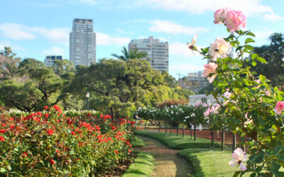 5 destinos turísticos que florecen en la primavera en Argentina
