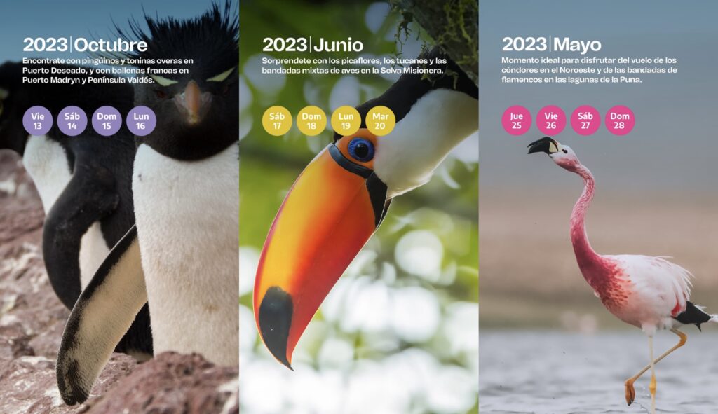 Findes largos en 2023