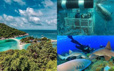 5 destinos impresionantes para bucear con tiburones 