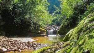 Parque Nacional Calilegua