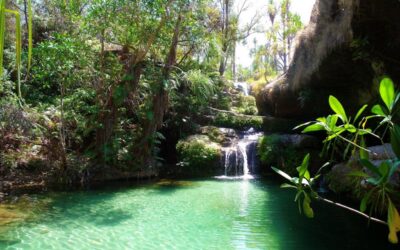 Las 6 piscinas naturales más hermosas del mundo