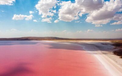 Los 5 lagos color rosado que te dejarán sin aliento