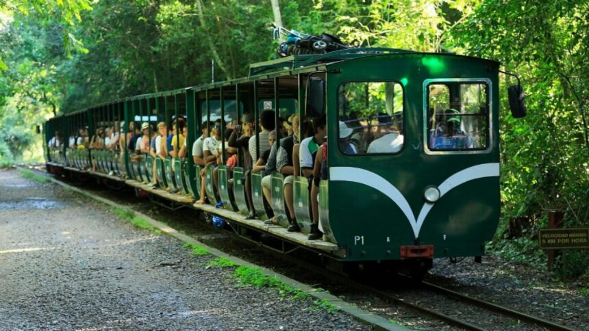 El tren ecológico te permite recorrer la totalidad del parque