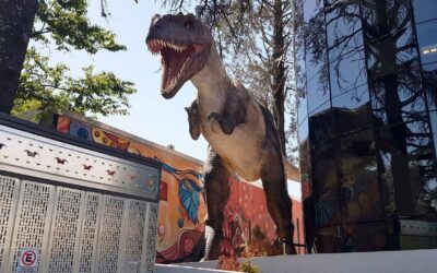 Diversión asegurada: conocé la juguetería más grande de Argentina (y la tercera del mundo)