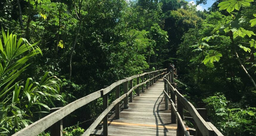 Manaos, un destino ideal para los amantes de la aventura