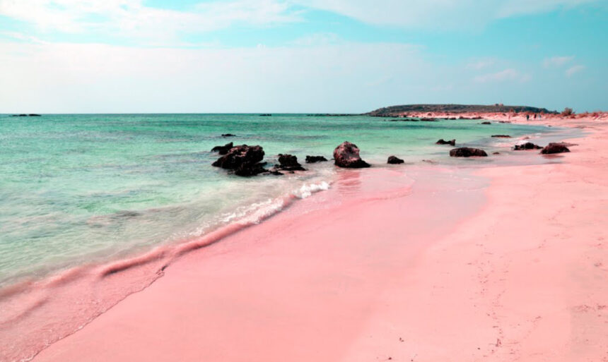 Arena rosa, una de las playas más extrañas del planeta