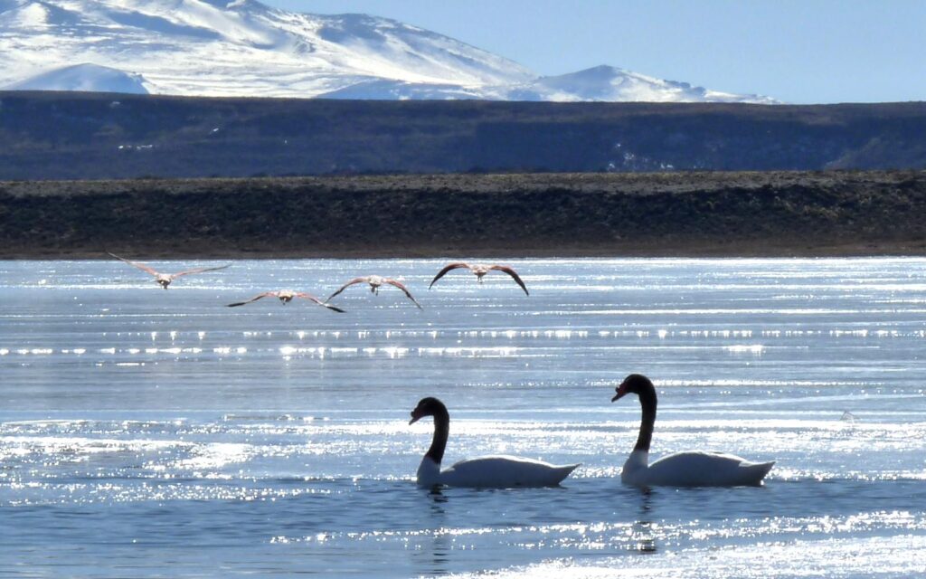 Conocé la reserva natural argentina que fue elegida entre los destinos más lindos del mundo
