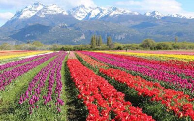 Uno por uno, cuáles son los pueblos argentinos que compiten por ser lo más hermosos del mundo