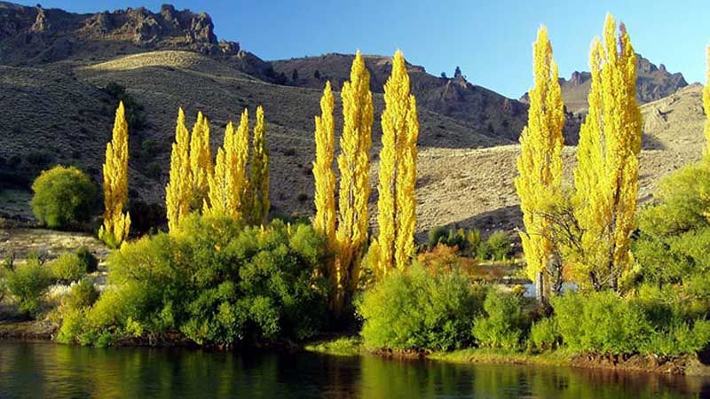 Valle Encantado: uno de los destinos naturales más fascinantes de la Patagonia