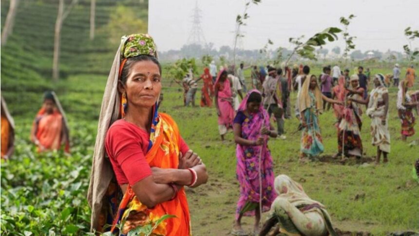 Cada vez que nace una niña, los aldeanos plantan 111 árboles en su honor