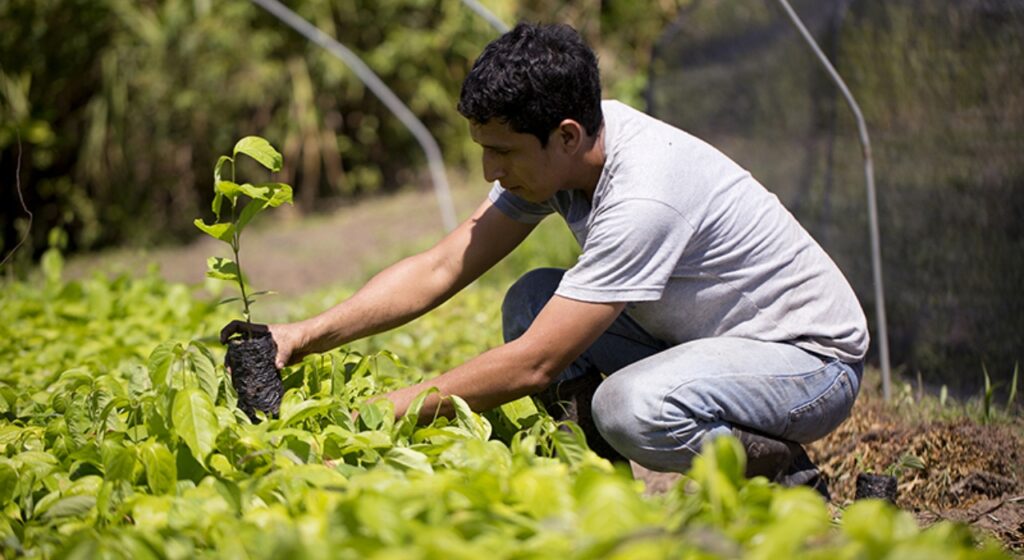 Comunidades sostenibles: ejemplos inspiradores de estilos de vida ecológicos en el mundo