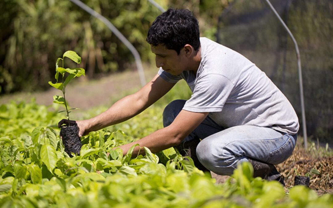 Comunidades sostenibles: ejemplos inspiradores de estilos de vida ecológicos en el mundo