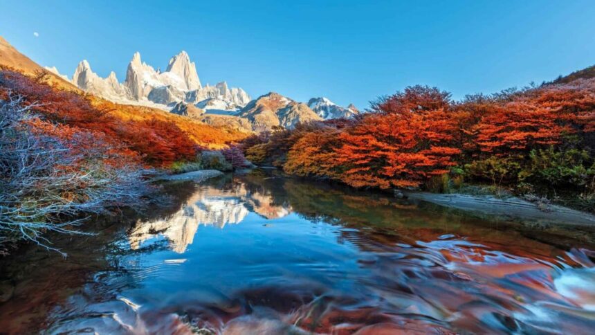 La Patagonia argentina está repleta de bosques que se tiñen de rojo