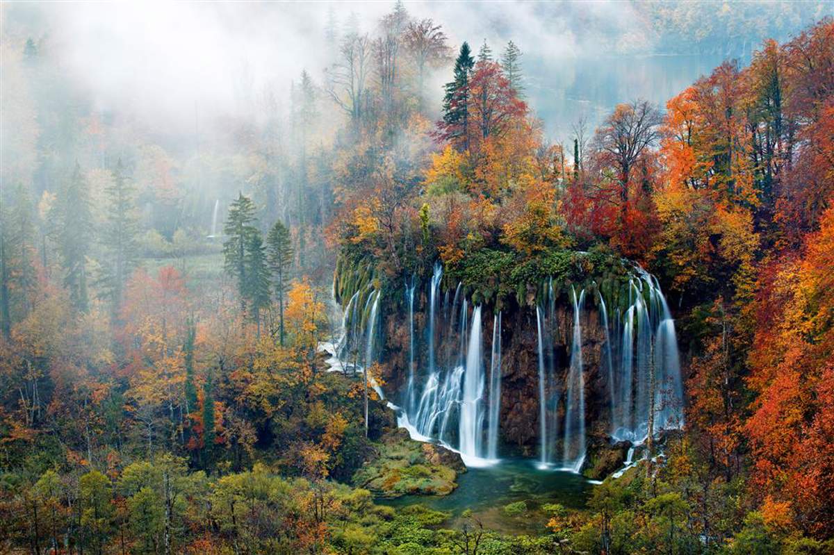 Los Diez Bosques Más Hermosos del Mundo