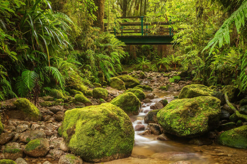 Un paraíso hermoso en Nueva Zelanda