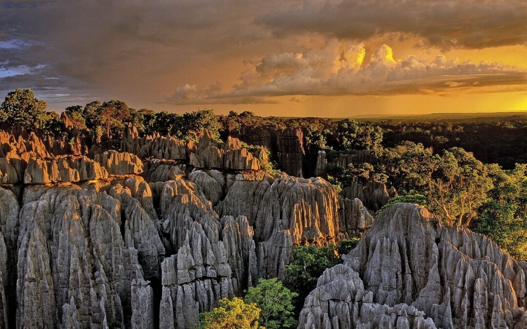 El impresionante Bosque de Piedra de Madagascar