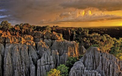 El impresionante Bosque de Piedra de Madagascar