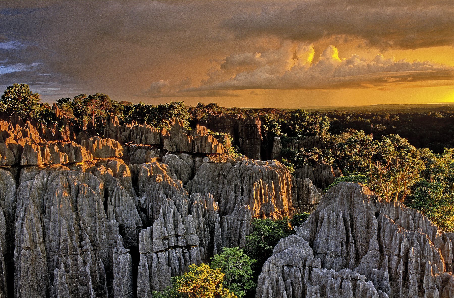 El impresionante bosque de piedra de Madagascar