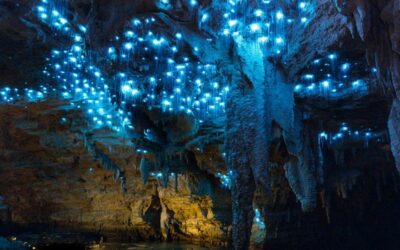 Las mágicas cuevas de Waitomo: un laberinto fluorescente bajo la tierra