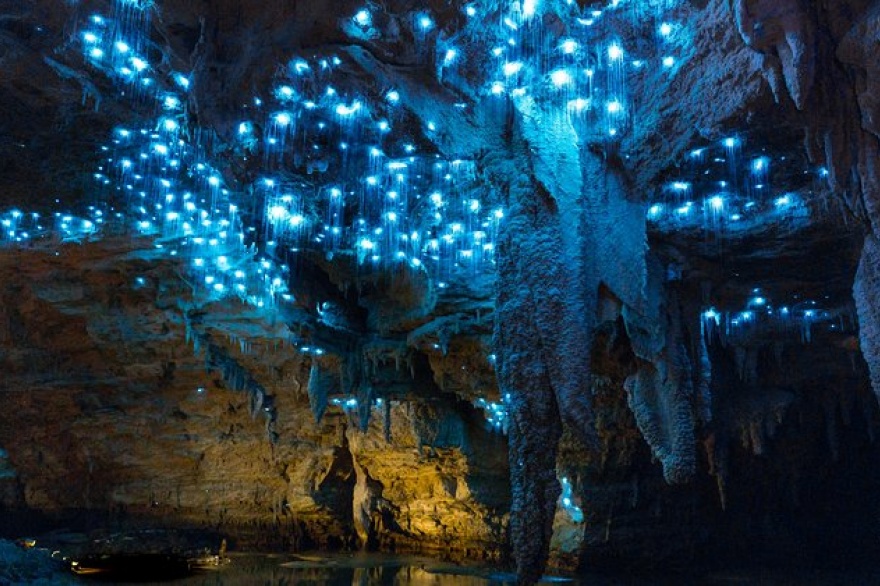 Las mágicas cuevas de Waitomo: un laberinto fluorescente bajo la tierra