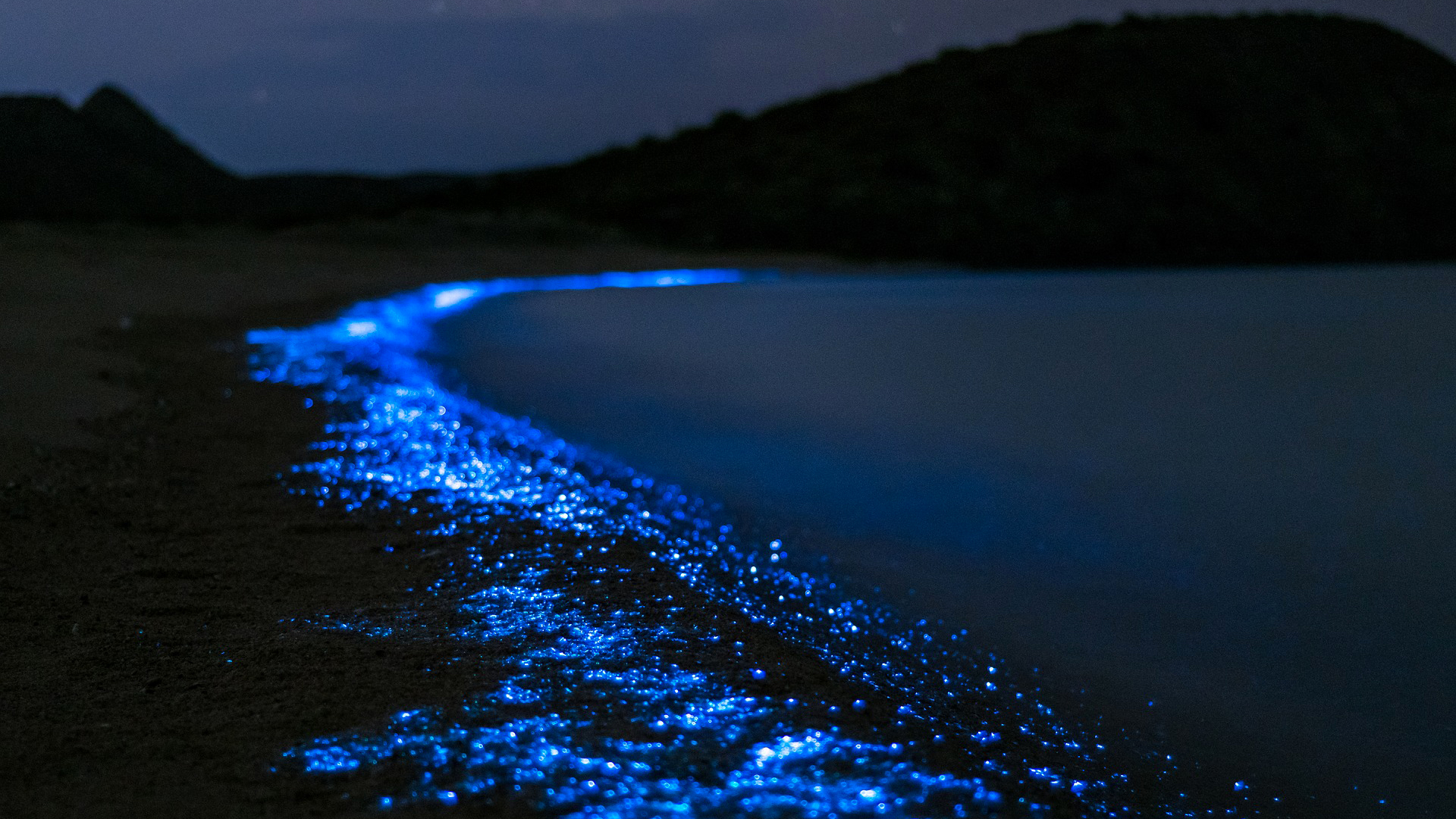 Mar de estrellas: la increíble playa que brilla toda la noche