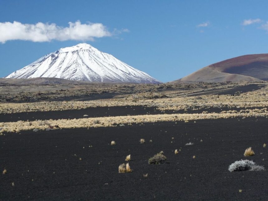 La Payunia - Malargüe, Mendoza, Argentina