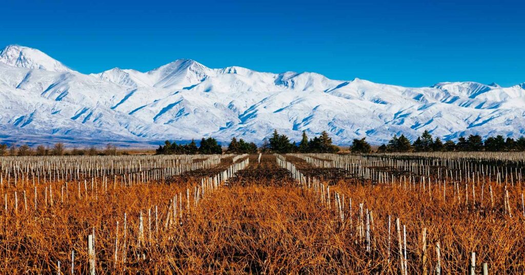 Mendoza: la provincia más feliz para vivir, según la inteligencia artificial