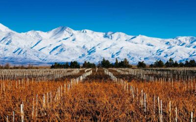Mendoza: la provincia más feliz para vivir, según la inteligencia artificial