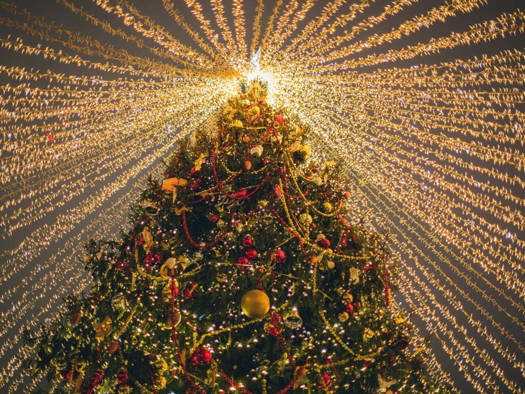 Descubrí el árbol de Navidad más grande del mundo