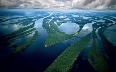 Consejos para visitar el Amazonas de Brasil