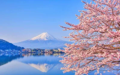 Japón en cuatro estaciones: qué ver y hacer en cada época del año