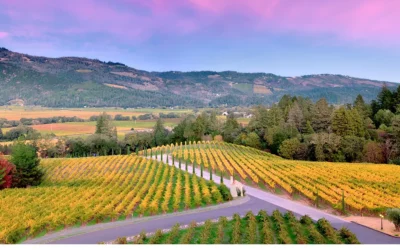 Los mejores destinos para los amantes del vino