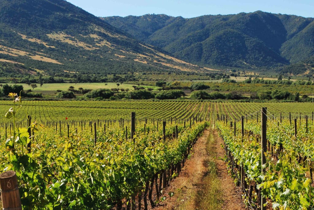 Los mejores destinos para los amantes del vino