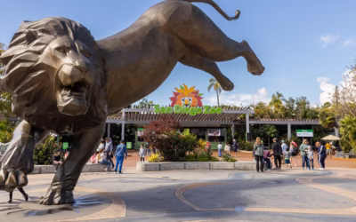 Estados Unidos con chicos: parques temáticos, museos interactivos y ciudades “family friendly”