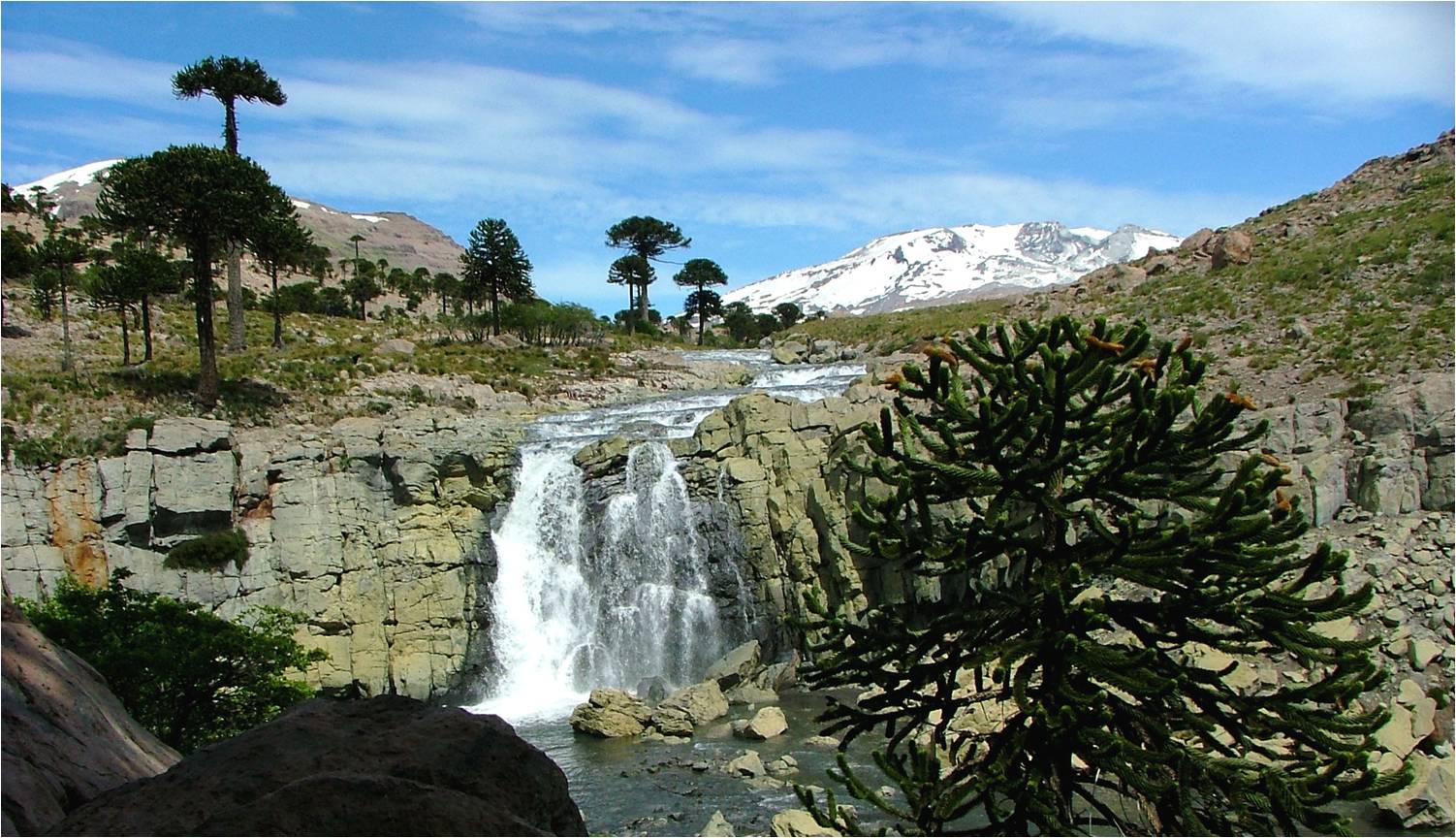 Neuquén abre un sendero volcánico señalizado en la zona de Caviahue