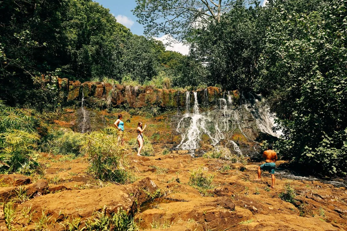 De ficción a realidad: tours por locaciones de Jurassic Park